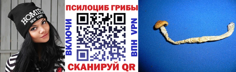 KRAKEN онион  сколько стоит  Красноуфимск  Галлюциногенные грибы ЛСД 
